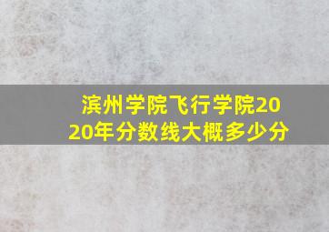 滨州学院飞行学院2020年分数线大概多少分