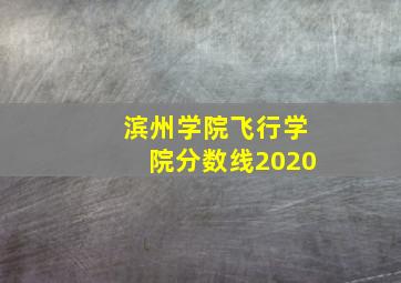 滨州学院飞行学院分数线2020