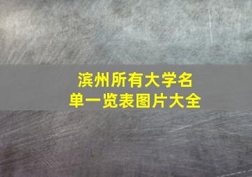 滨州所有大学名单一览表图片大全