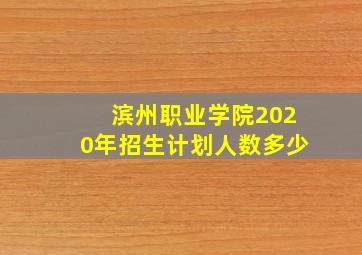 滨州职业学院2020年招生计划人数多少