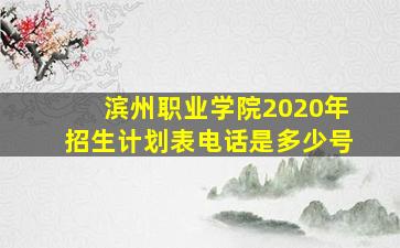 滨州职业学院2020年招生计划表电话是多少号