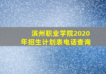 滨州职业学院2020年招生计划表电话查询