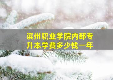 滨州职业学院内部专升本学费多少钱一年