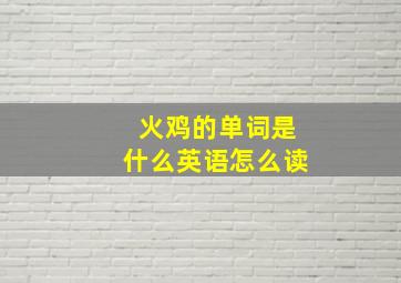 火鸡的单词是什么英语怎么读