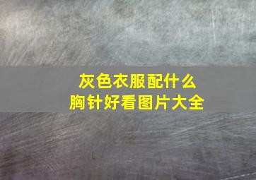 灰色衣服配什么胸针好看图片大全