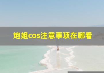 炮姐cos注意事项在哪看