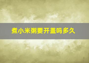 煮小米粥要开盖吗多久