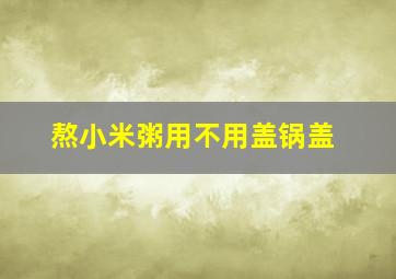 熬小米粥用不用盖锅盖