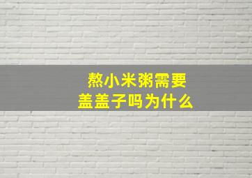 熬小米粥需要盖盖子吗为什么