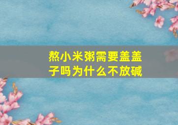 熬小米粥需要盖盖子吗为什么不放碱