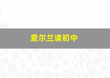 爱尔兰读初中