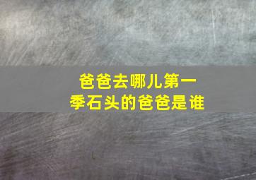 爸爸去哪儿第一季石头的爸爸是谁