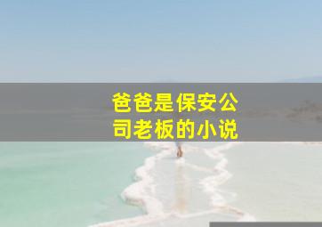 爸爸是保安公司老板的小说