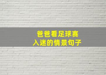 爸爸看足球赛入迷的情景句子