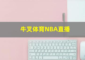 牛叉体育NBA直播