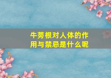 牛蒡根对人体的作用与禁忌是什么呢