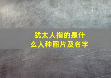 犹太人指的是什么人种图片及名字