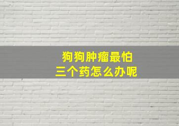 狗狗肿瘤最怕三个药怎么办呢