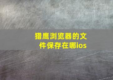 猎鹰浏览器的文件保存在哪ios