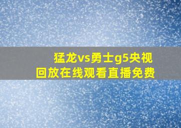 猛龙vs勇士g5央视回放在线观看直播免费