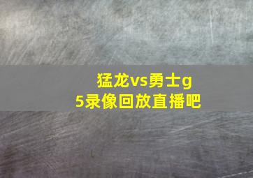 猛龙vs勇士g5录像回放直播吧