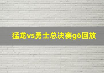 猛龙vs勇士总决赛g6回放