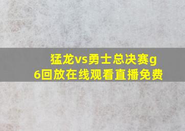 猛龙vs勇士总决赛g6回放在线观看直播免费