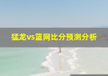 猛龙vs篮网比分预测分析