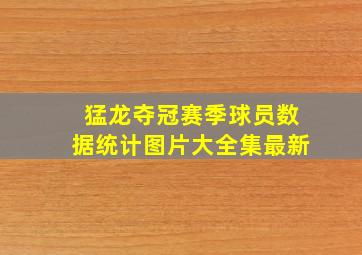 猛龙夺冠赛季球员数据统计图片大全集最新