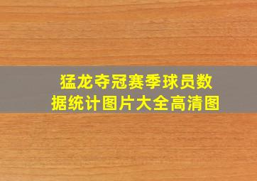 猛龙夺冠赛季球员数据统计图片大全高清图