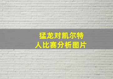 猛龙对凯尔特人比赛分析图片