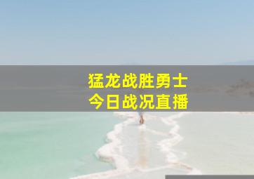 猛龙战胜勇士今日战况直播