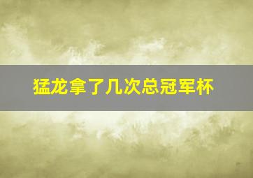 猛龙拿了几次总冠军杯