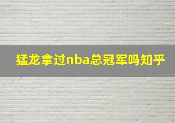 猛龙拿过nba总冠军吗知乎