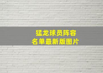 猛龙球员阵容名单最新版图片