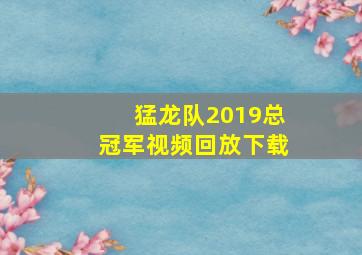 猛龙队2019总冠军视频回放下载