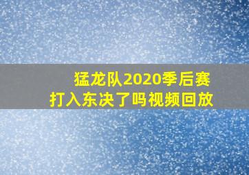 猛龙队2020季后赛打入东决了吗视频回放