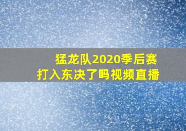 猛龙队2020季后赛打入东决了吗视频直播