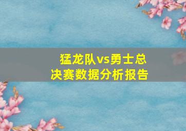 猛龙队vs勇士总决赛数据分析报告