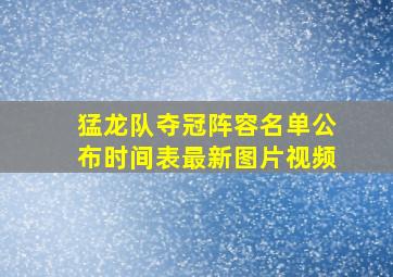 猛龙队夺冠阵容名单公布时间表最新图片视频