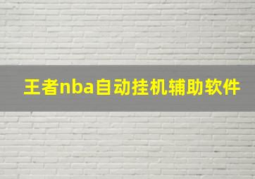 王者nba自动挂机辅助软件