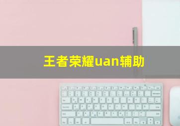 王者荣耀uan辅助