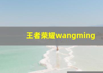 王者荣耀wangming