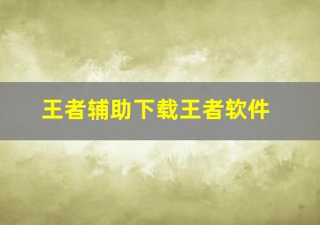 王者辅助下载王者软件