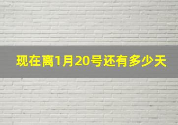 现在离1月20号还有多少天