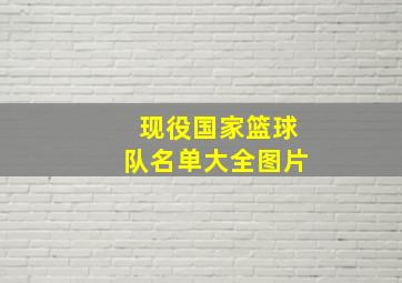 现役国家篮球队名单大全图片