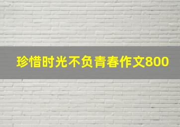 珍惜时光不负青春作文800