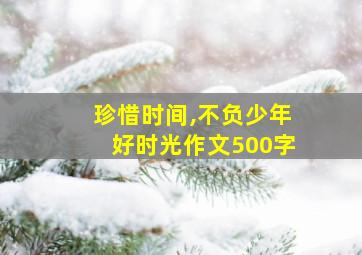 珍惜时间,不负少年好时光作文500字