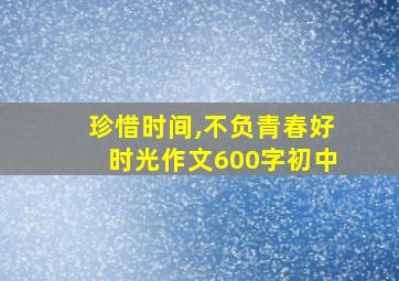 珍惜时间,不负青春好时光作文600字初中