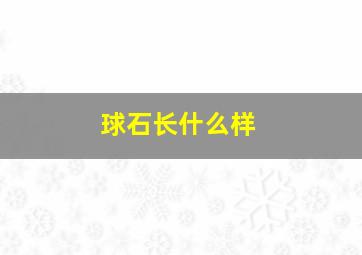 球石长什么样